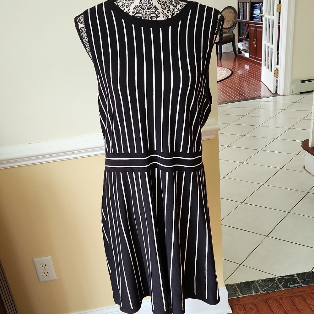 LOFT Black and White Fit and Flare Mini Dress